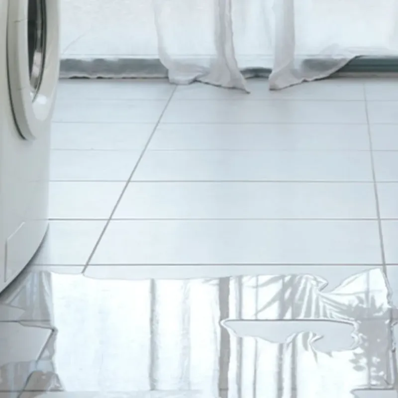 Appliance Leak Cleanup in North Fort Lewis, WA