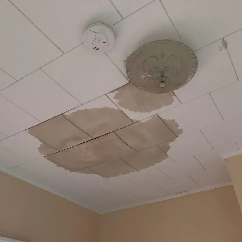 Ceiling Water Damage Repair in North Fort Lewis, WA