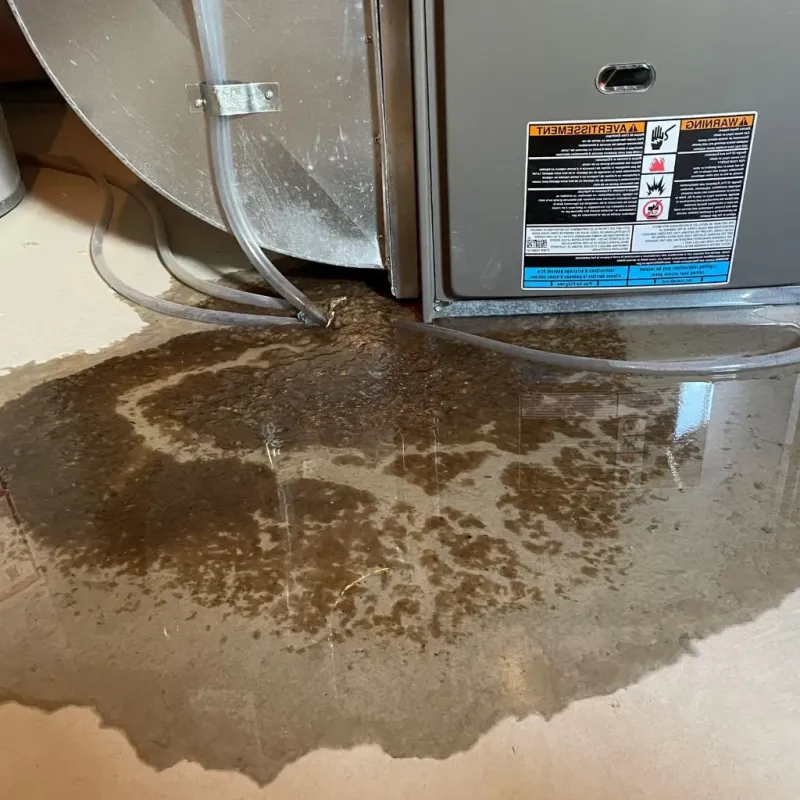 Pipe Burst and Leak Restoration in North Fort Lewis, WA